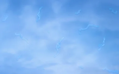 Eye Floaters: What Causes Them & When Are They Serious?